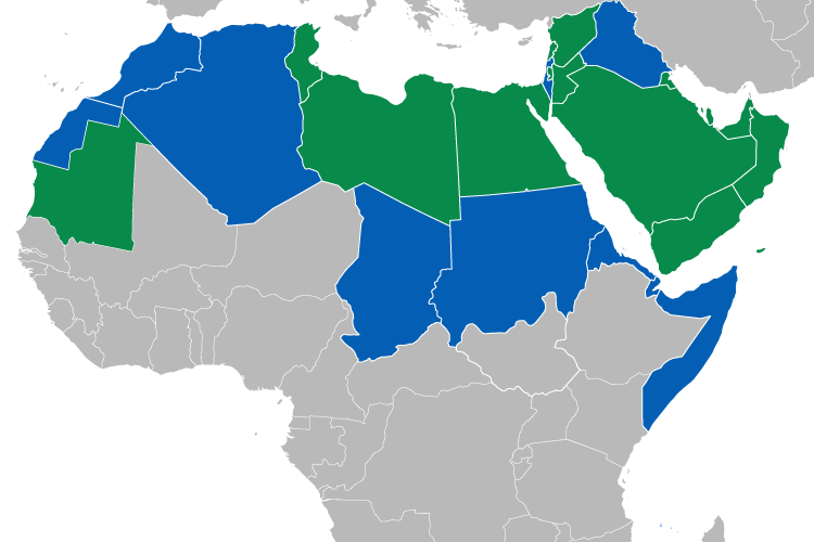 アラビア語が公用語の国の地図